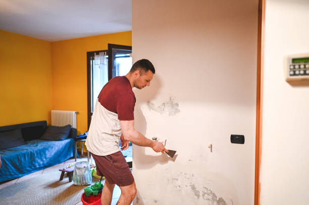 Best Certified Mold Removal  in Toro Nyon, CA